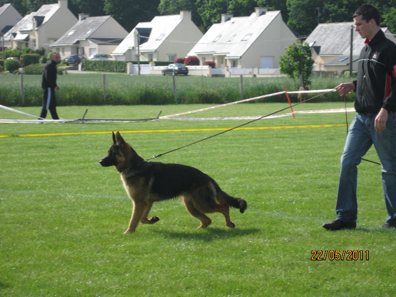 Publication : du Domaine du Bois de Lannigou Auteur : Hubert Le Roux
