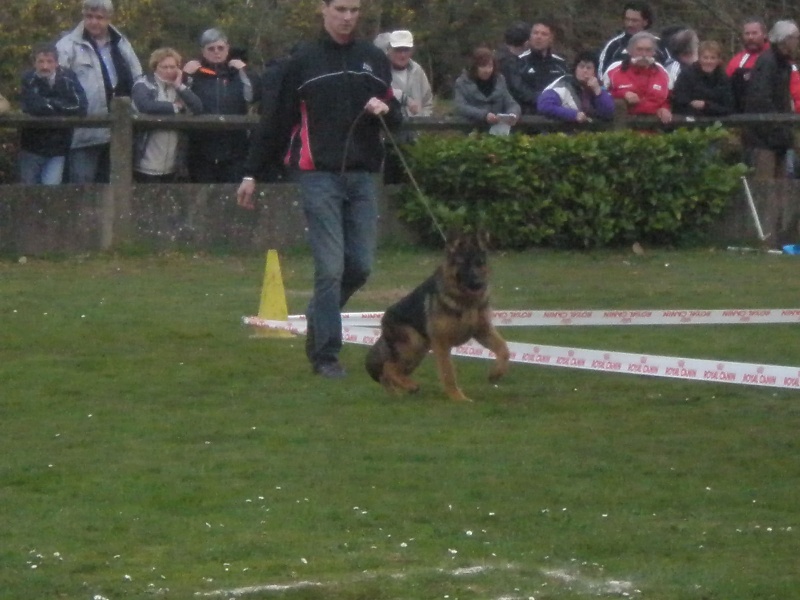 Publication : du Domaine du Bois de Lannigou Auteur : Hubert Le Roux