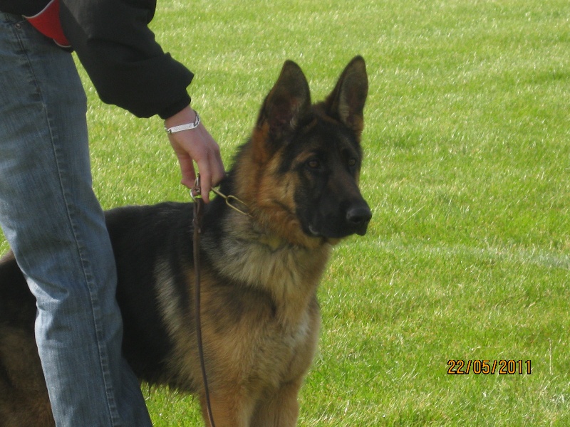 Publication : du Domaine du Bois de Lannigou Auteur : Hubert Le Roux