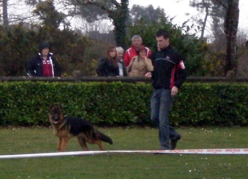 Publication : du Domaine du Bois de Lannigou Auteur : Hubert Le Roux