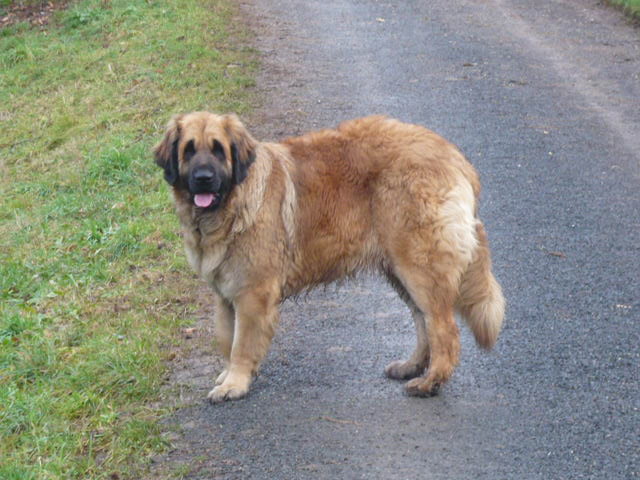 Dakota de la Vallée des Mammouths