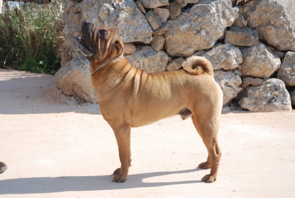 Publication : des Legendes Indiennes Auteur : es