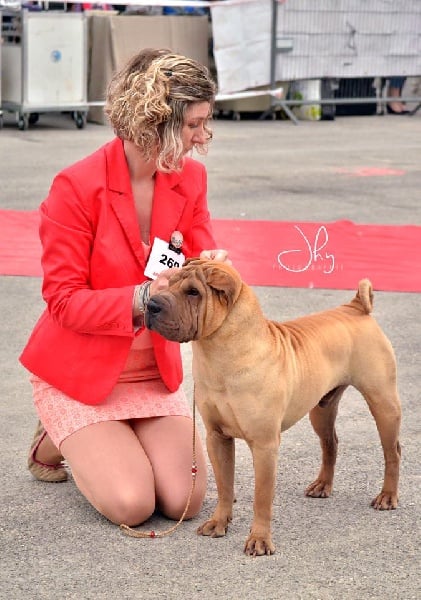 Publication : des Legendes Indiennes Auteur : e