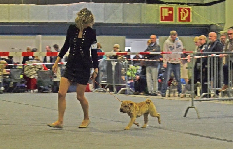 Publication : des Legendes Indiennes Auteur : e