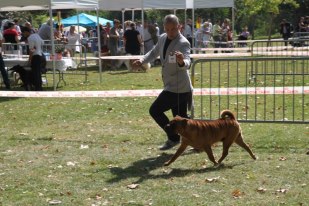 Publication : des Legendes Indiennes Auteur : es