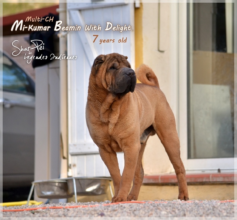 Publication : des Legendes Indiennes Auteur : es