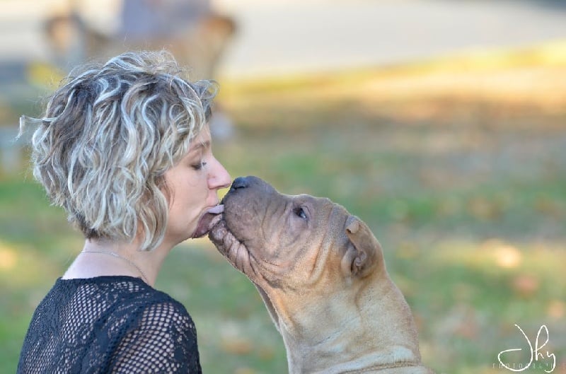 Publication : des Legendes Indiennes Auteur : e