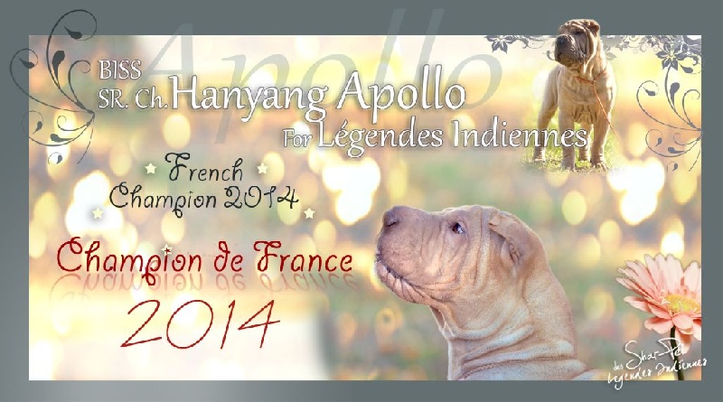 Publication : des Legendes Indiennes Auteur : e