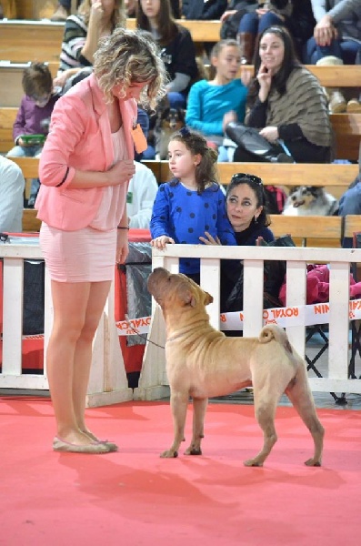 Publication : des Legendes Indiennes Auteur : e