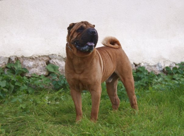 Publication : des Legendes Indiennes Auteur : es