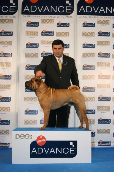 Publication : des Legendes Indiennes Auteur : es