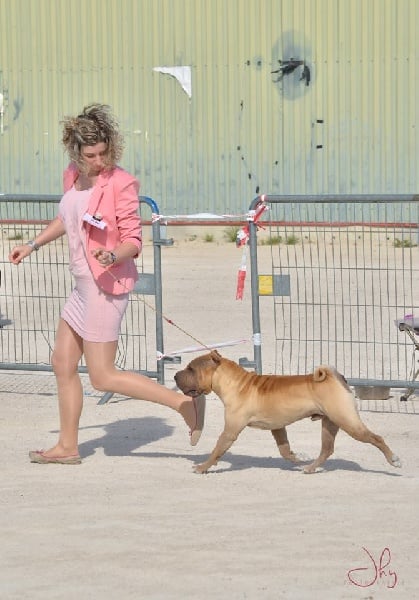 Publication : des Legendes Indiennes Auteur : e