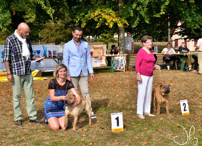 Publication : des Legendes Indiennes Auteur : e