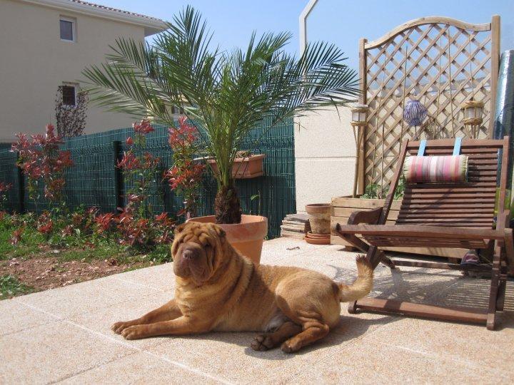 Publication : des Legendes Indiennes Auteur : Natxo Gomez