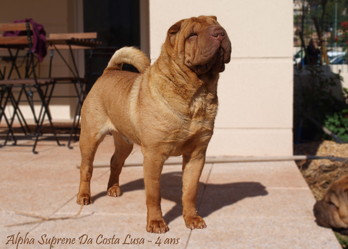 Publication : des Legendes Indiennes Auteur : Natxo Gomez