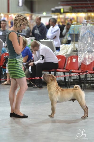 Publication : des Legendes Indiennes Auteur : e