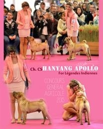 Publication : des Legendes Indiennes Auteur : e