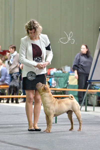 Publication : des Legendes Indiennes Auteur : e