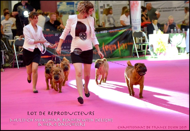 Publication : des Legendes Indiennes Auteur : es