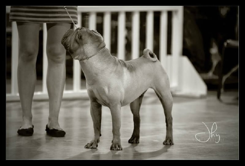 Publication : des Legendes Indiennes Auteur : e