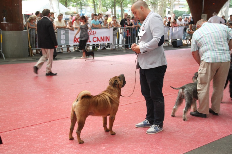 Publication : des Legendes Indiennes Auteur : es