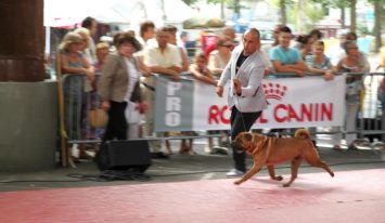 Publication : des Legendes Indiennes Auteur : es