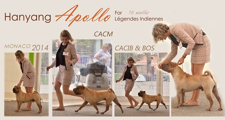 Publication : des Legendes Indiennes Auteur : e