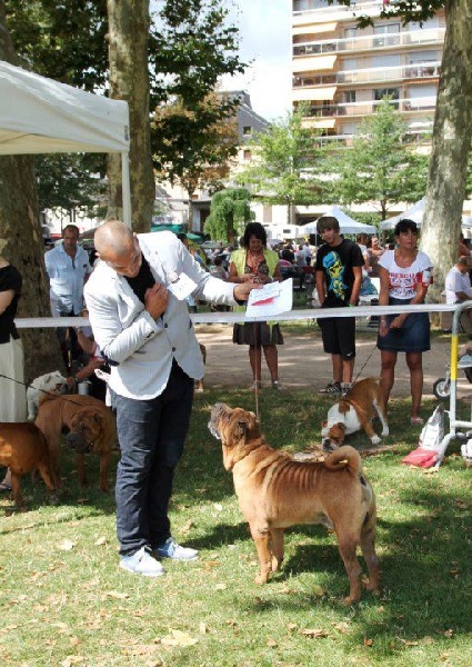 Publication : des Legendes Indiennes Auteur : es