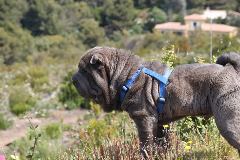 Publication : Qi Ming Xing