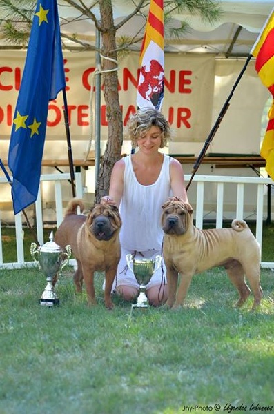 Publication : des Legendes Indiennes Auteur : e