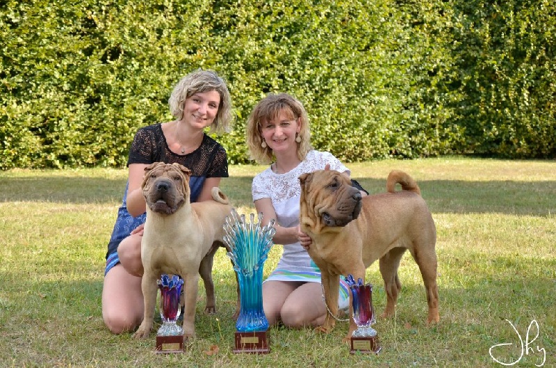 Publication : des Legendes Indiennes Auteur : e