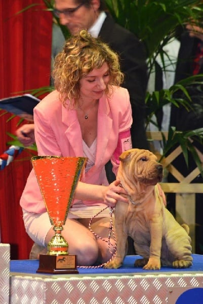 Publication : des Legendes Indiennes Auteur : e