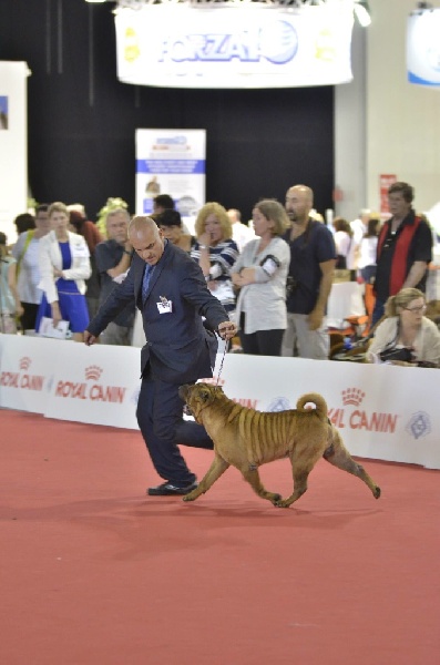 Publication : des Legendes Indiennes Auteur : es