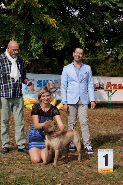 Publication : des Legendes Indiennes Auteur : e