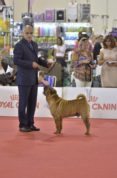 Publication : des Legendes Indiennes Auteur : es