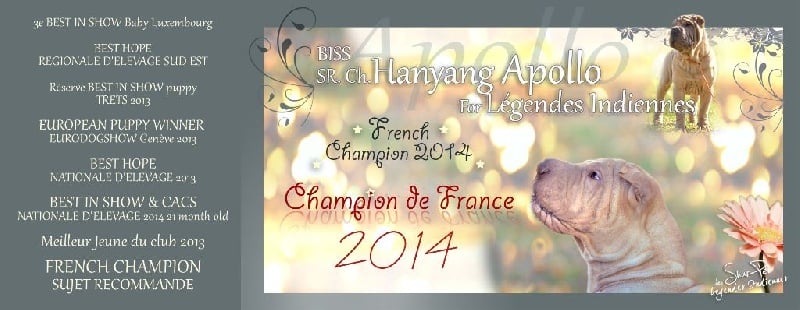 Publication : des Legendes Indiennes Auteur : e