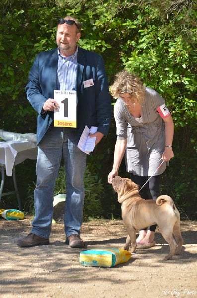 Publication : des Legendes Indiennes Auteur : e