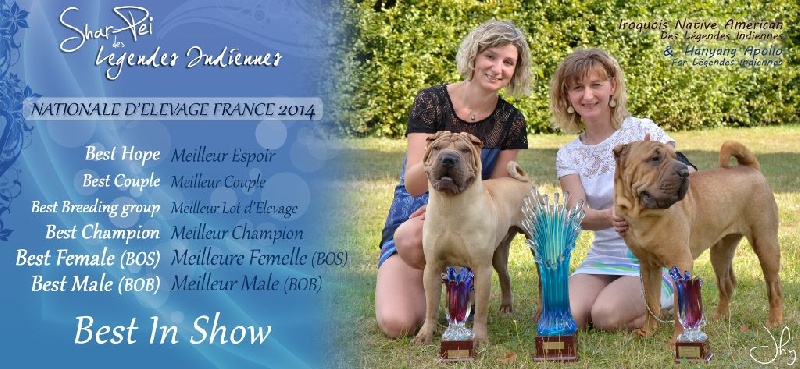 Publication : des Legendes Indiennes Auteur : e