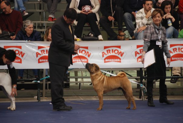 Publication : des Legendes Indiennes Auteur : es