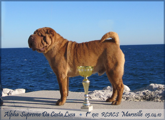 Publication : des Legendes Indiennes Auteur : Natxo Gomez