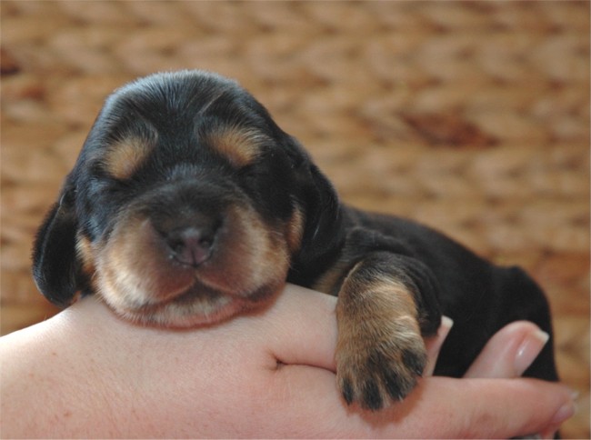 Publication : Andilhon