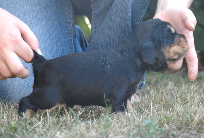 Publication : Andilhon