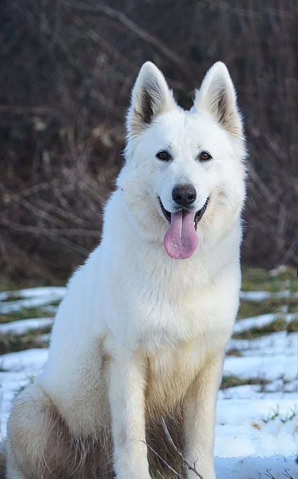 Publication : di u Vecchiu