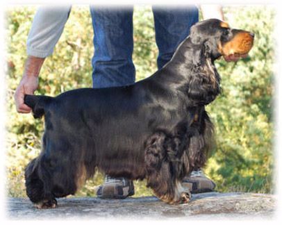 Publication : des Hauts de Clemalive