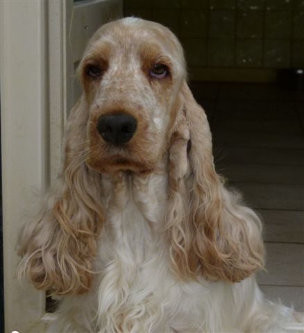 Publication : des Hauts de Clemalive