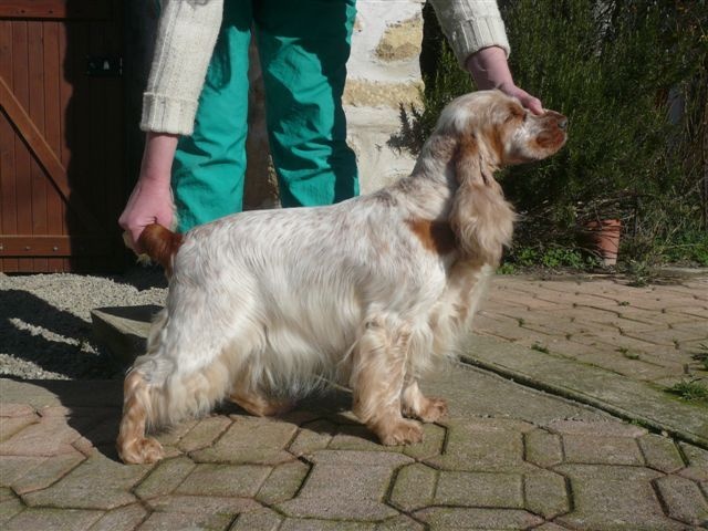 Publication : des Hauts de Clemalive