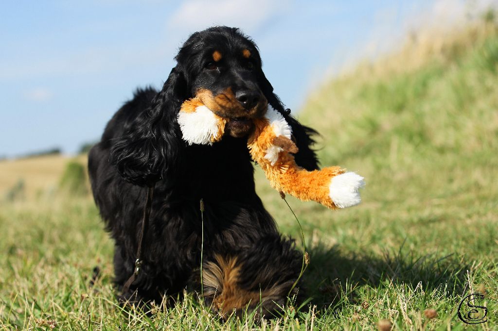 Publication : des Hauts de Clemalive