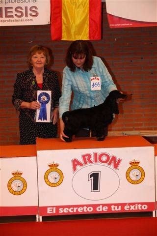 Publication : des Hauts de Clemalive