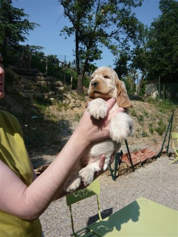 Publication : des Hauts de Clemalive