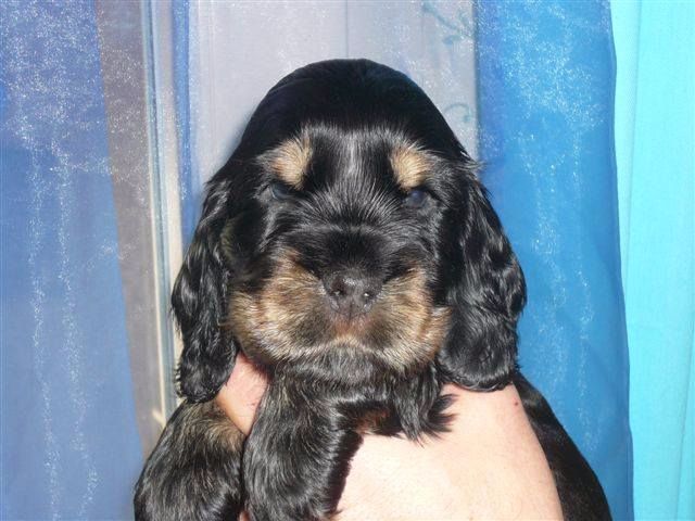 Publication : des Hauts de Clemalive